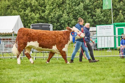 Royal-Lancs-Show-2025 IMG 2810 Lo