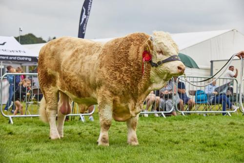 Royal-Lancs-Show-2025 IMG 2832 Lo