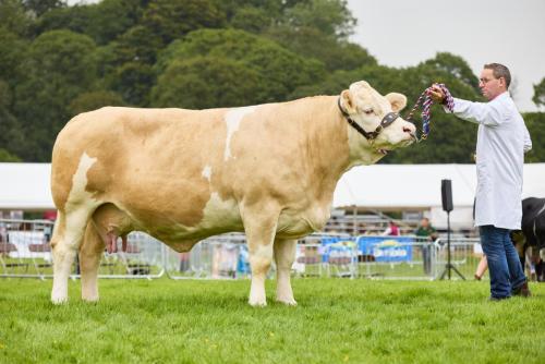 Royal-Lancs-Show-2025 IMG 2836 Lo