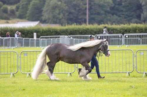 Royal Lancs Show 21072024 572