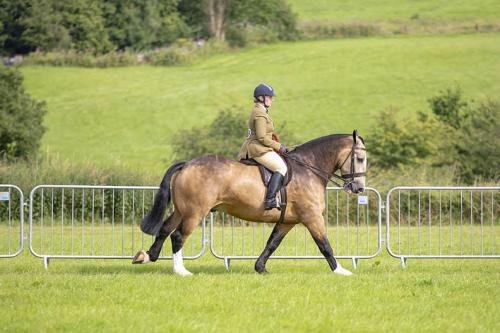 Royal Lancs Show 21072024 573