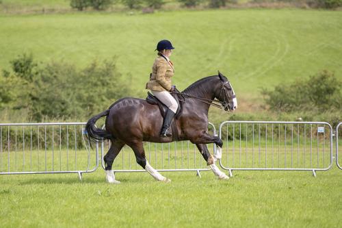Royal Lancs Show 21072024 574