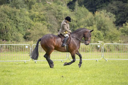 Royal Lancs Show 21072024 575