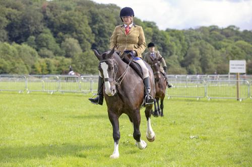 Royal Lancs Show 21072024 576