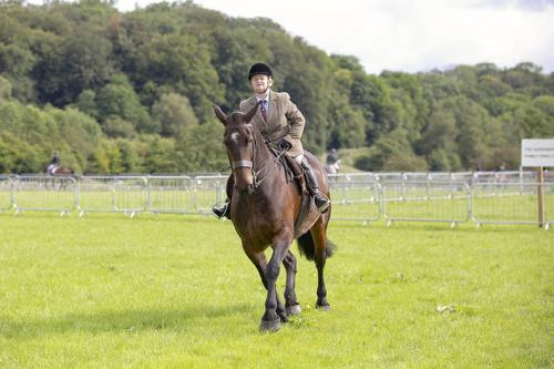 Royal Lancs Show 21072024 577