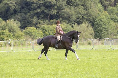 Royal Lancs Show 21072024 578