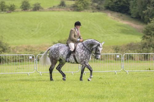 Royal Lancs Show 21072024 579