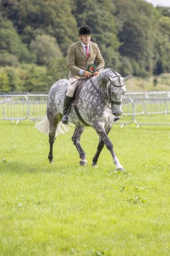 Royal Lancs Show 21072024 580