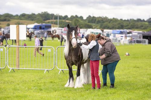 Royal Lancs Show 21072024 583