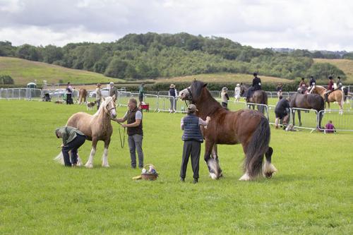 Royal Lancs Show 21072024 587