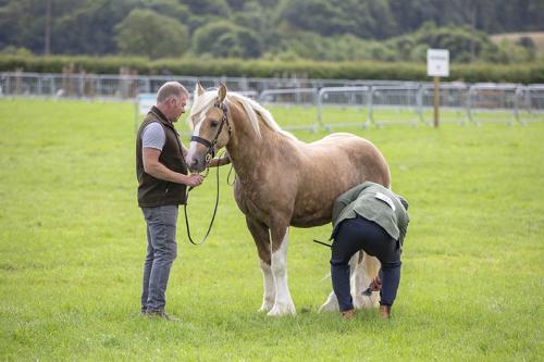 Royal Lancs Show 21072024 588