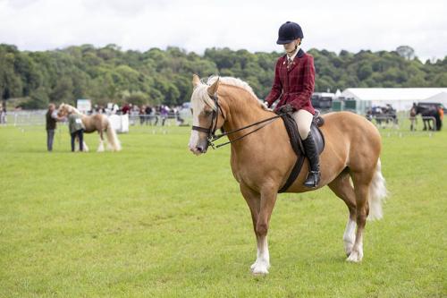 Royal Lancs Show 21072024 593