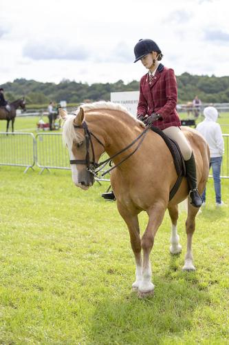 Royal Lancs Show 21072024 596