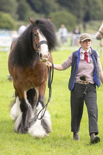 Royal Lancs Show 21072024 599