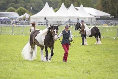 Royal Lancs Show 21072024 605