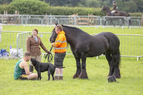 Royal Lancs Show 21072024 606