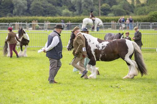 Royal Lancs Show 21072024 608