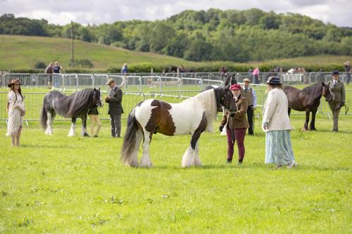 Royal Lancs Show 21072024 609