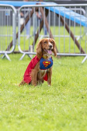 Royal Lancs Show 21072024 641
