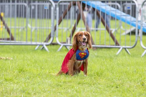 Royal Lancs Show 21072024 642