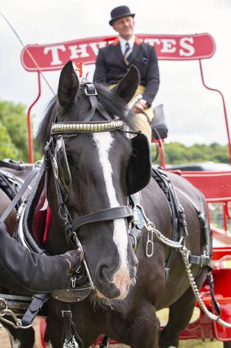 Royal Lancs Show 21072024 663