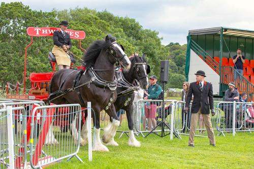 Royal Lancs Show 21072024 666
