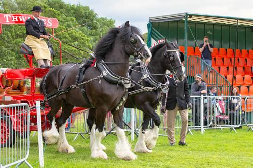 Royal Lancs Show 21072024 667