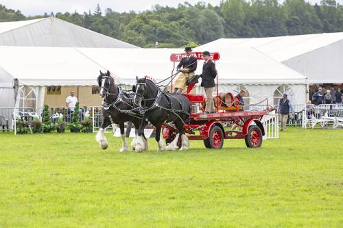 Royal Lancs Show 21072024 668