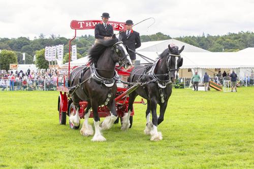 Royal Lancs Show 21072024 669