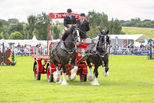 Royal Lancs Show 21072024 671