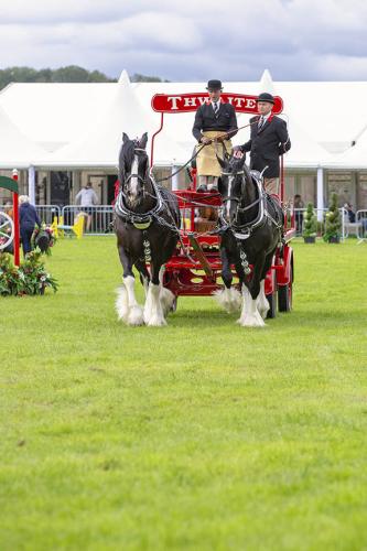 Royal Lancs Show 21072024 674