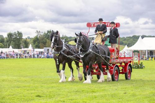 Royal Lancs Show 21072024 675