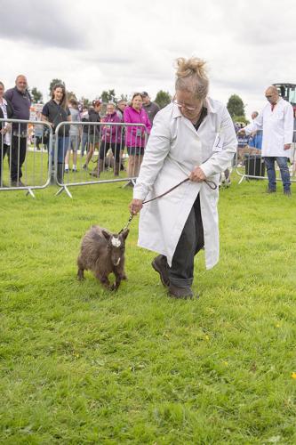 Royal Lancs Show 21072024 710