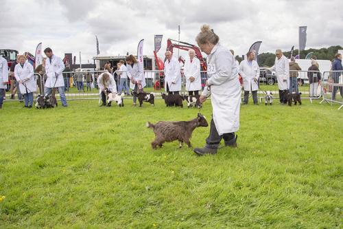 Royal Lancs Show 21072024 711