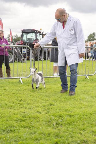 Royal Lancs Show 21072024 712