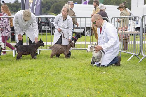 Royal Lancs Show 21072024 713