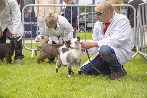 Royal Lancs Show 21072024 714