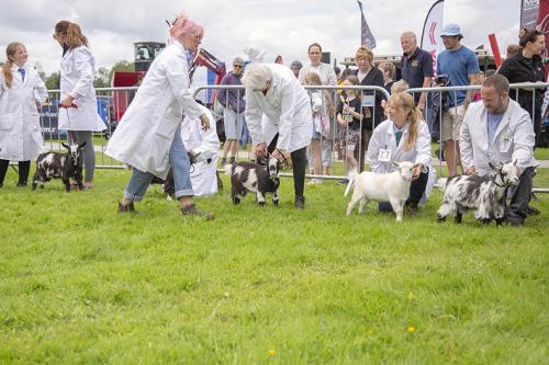 Royal Lancs Show 21072024 715