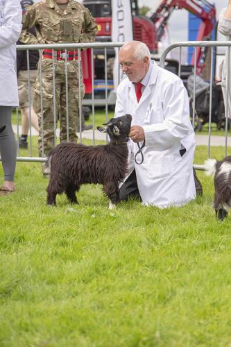 Royal Lancs Show 21072024 716