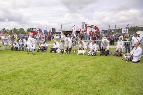 Royal Lancs Show 21072024 717