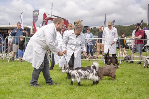 Royal Lancs Show 21072024 718