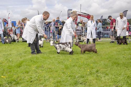 Royal Lancs Show 21072024 719