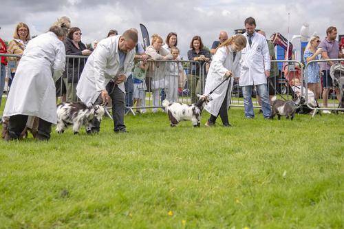 Royal Lancs Show 21072024 720