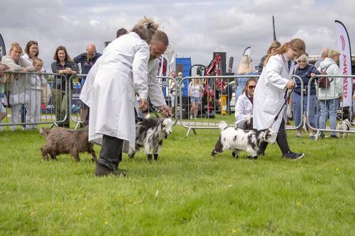 Royal Lancs Show 21072024 721
