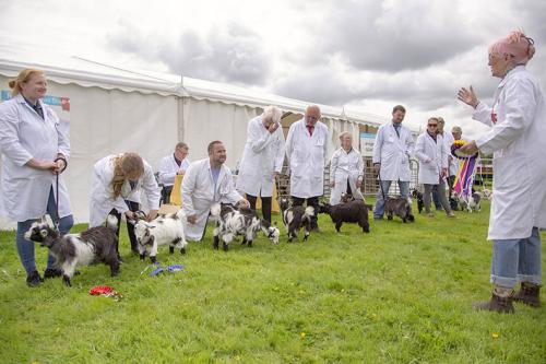 Royal Lancs Show 21072024 724