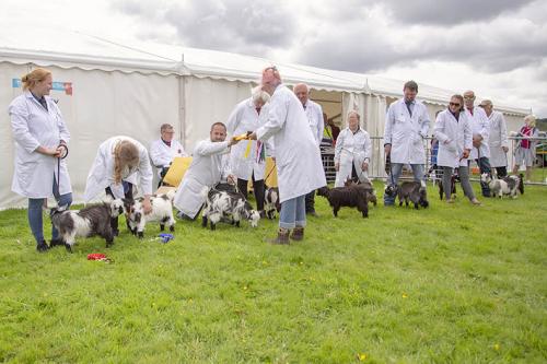 Royal Lancs Show 21072024 725