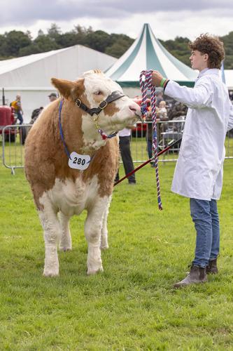 Royal Lancs Show 21072024 744