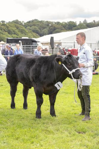 Royal Lancs Show 21072024 745