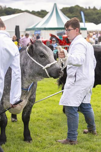 Royal Lancs Show 21072024 747