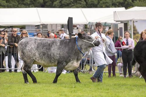 Royal Lancs Show 21072024 748